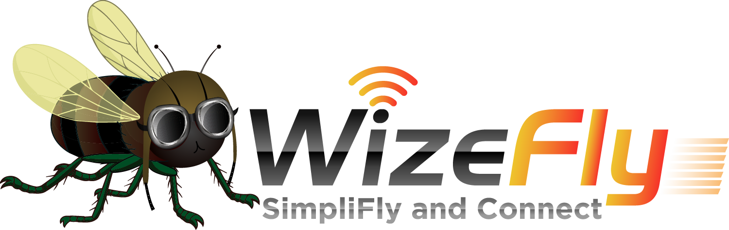 WizeFly Logo